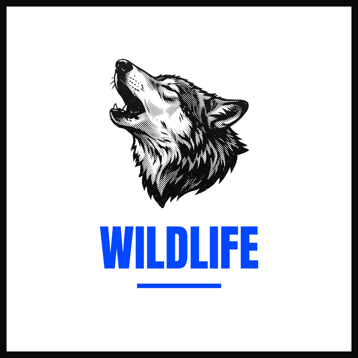 Wildlife
