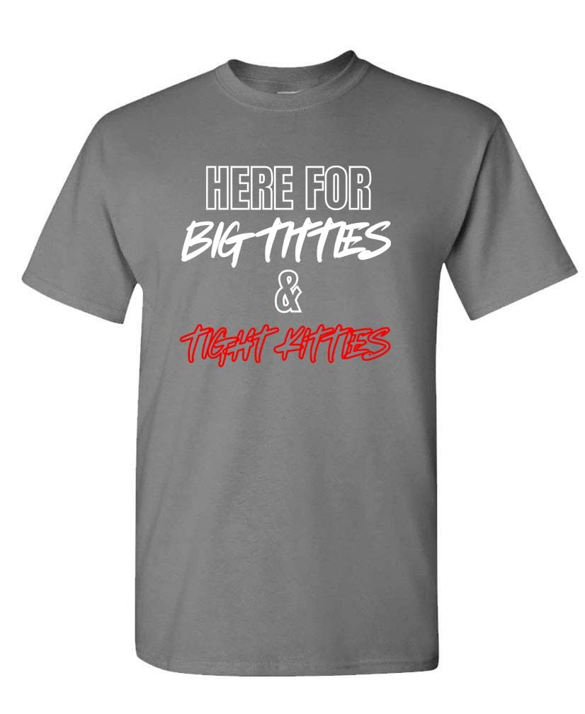 Here for Big Titties and Tight Kitties — Charcoal T-Shirt — front
