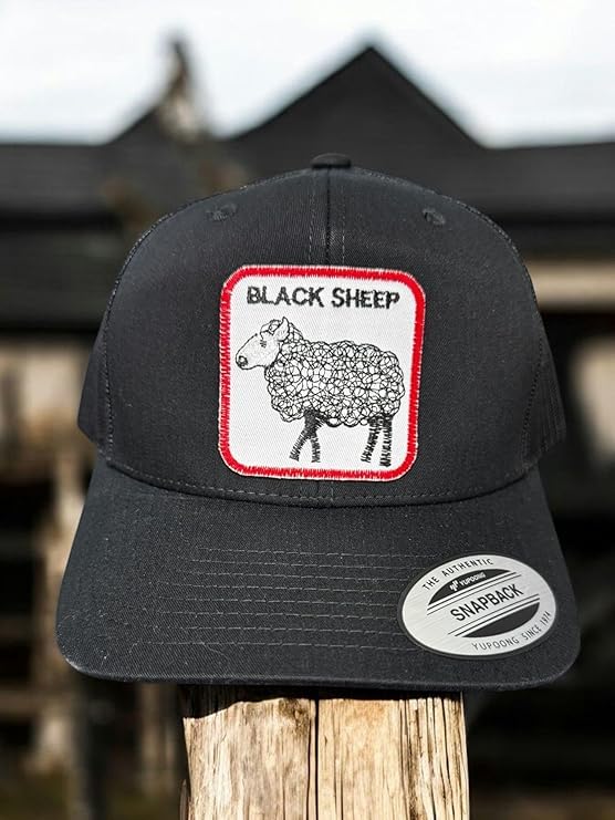 Black Sheep — Black Sheep - Solid Black - Standard Bill Embroidered Trucker Hat — existing lifestyle 1