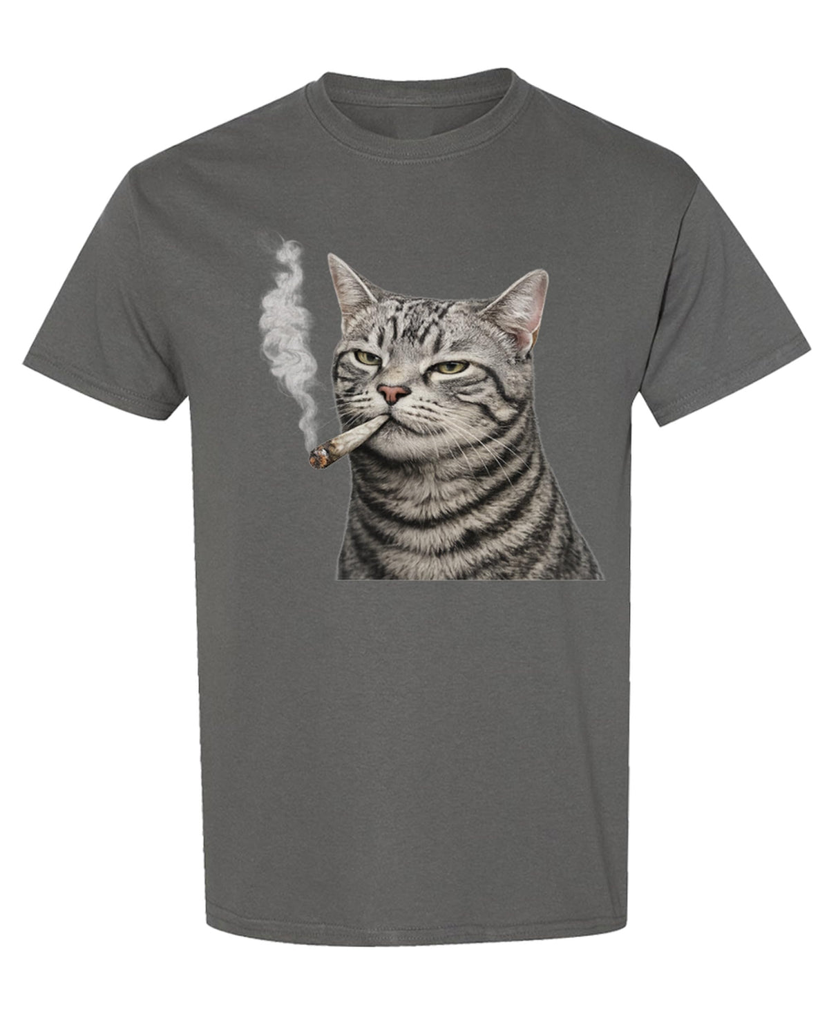 Funny Cat — Charcoal T-Shirt — front