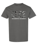 Celebrate Diversity Pistols — Charcoal T-Shirt — front