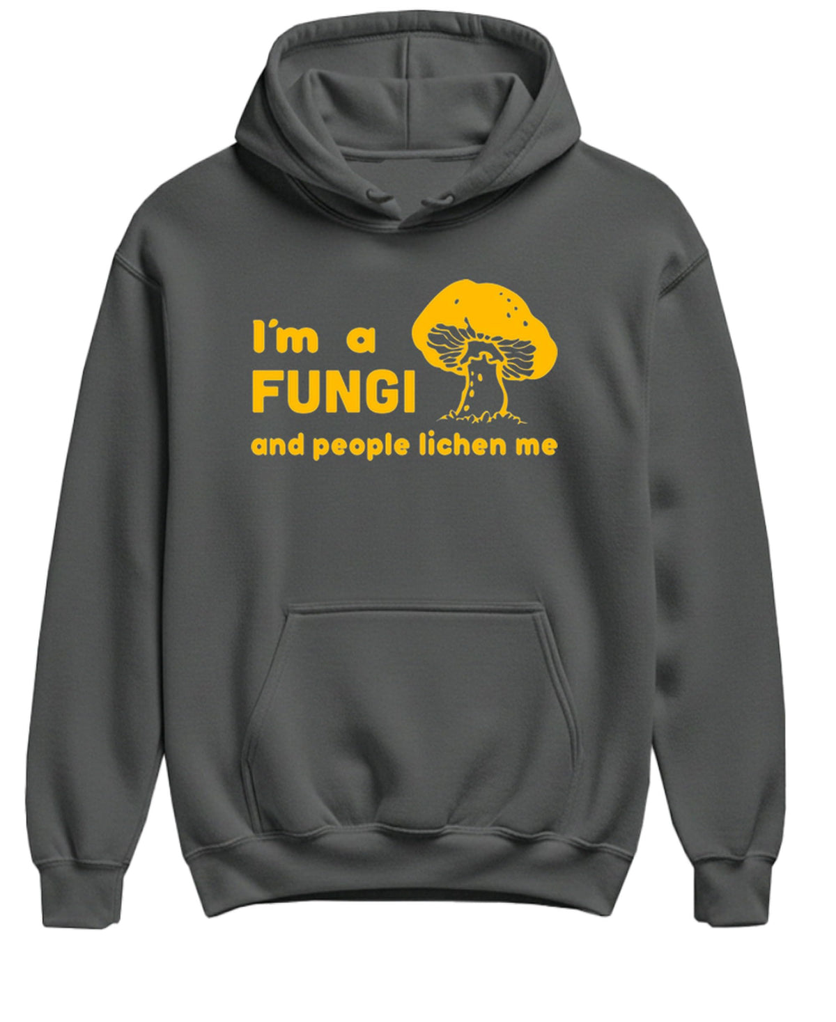 I Am a Fungi and People Lichen Me — Charcoal Hoodie — front