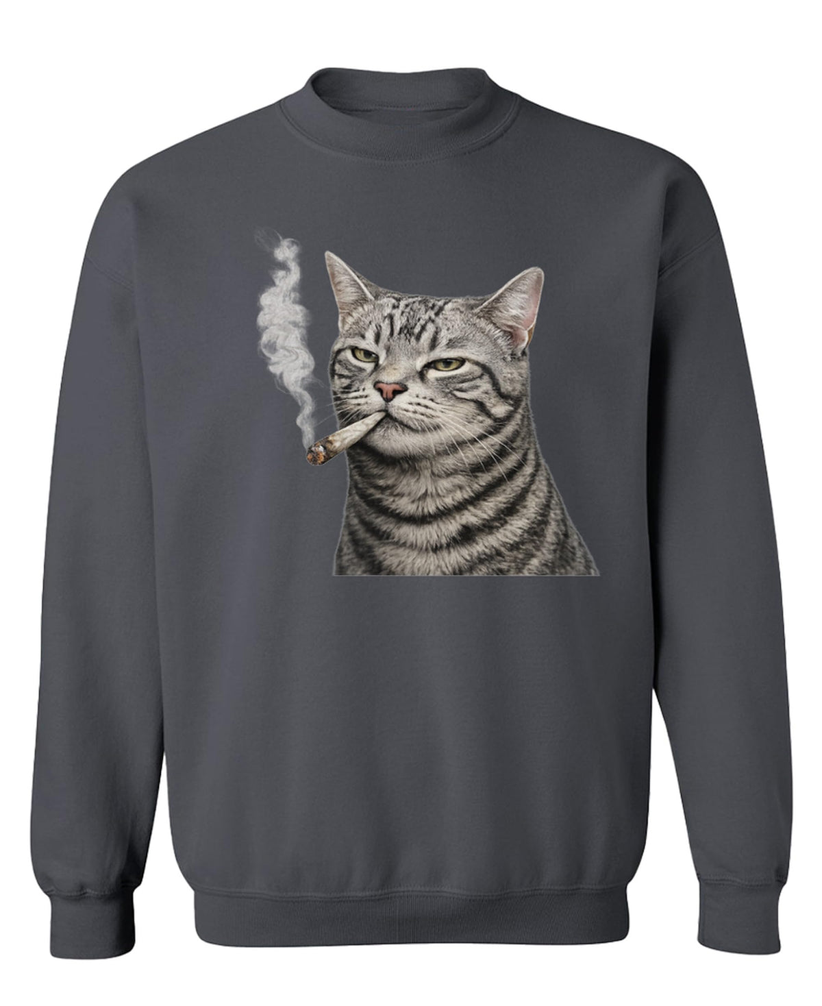 Funny Cat — Charcoal Sweatshirt — front