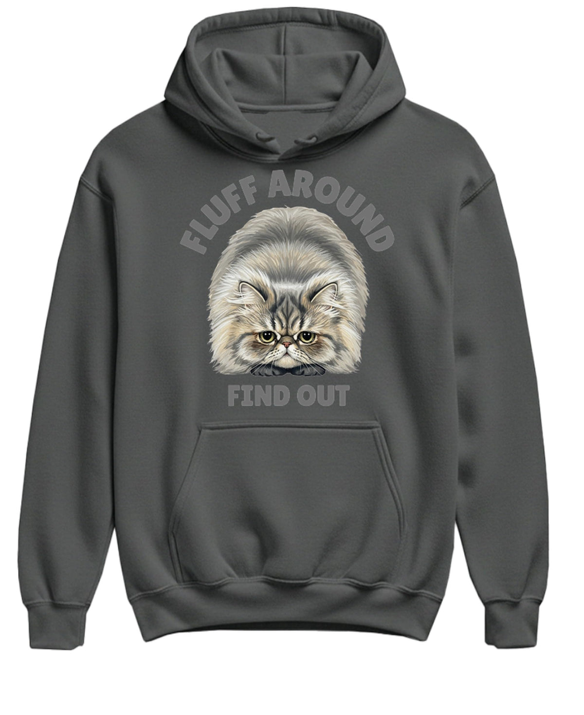Fluff Around and Find Out — Charcoal Hoodie — front