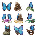 Blue Morpho Butterflies — Complete assortment