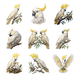 Cockatoo Crests — Complete assortment