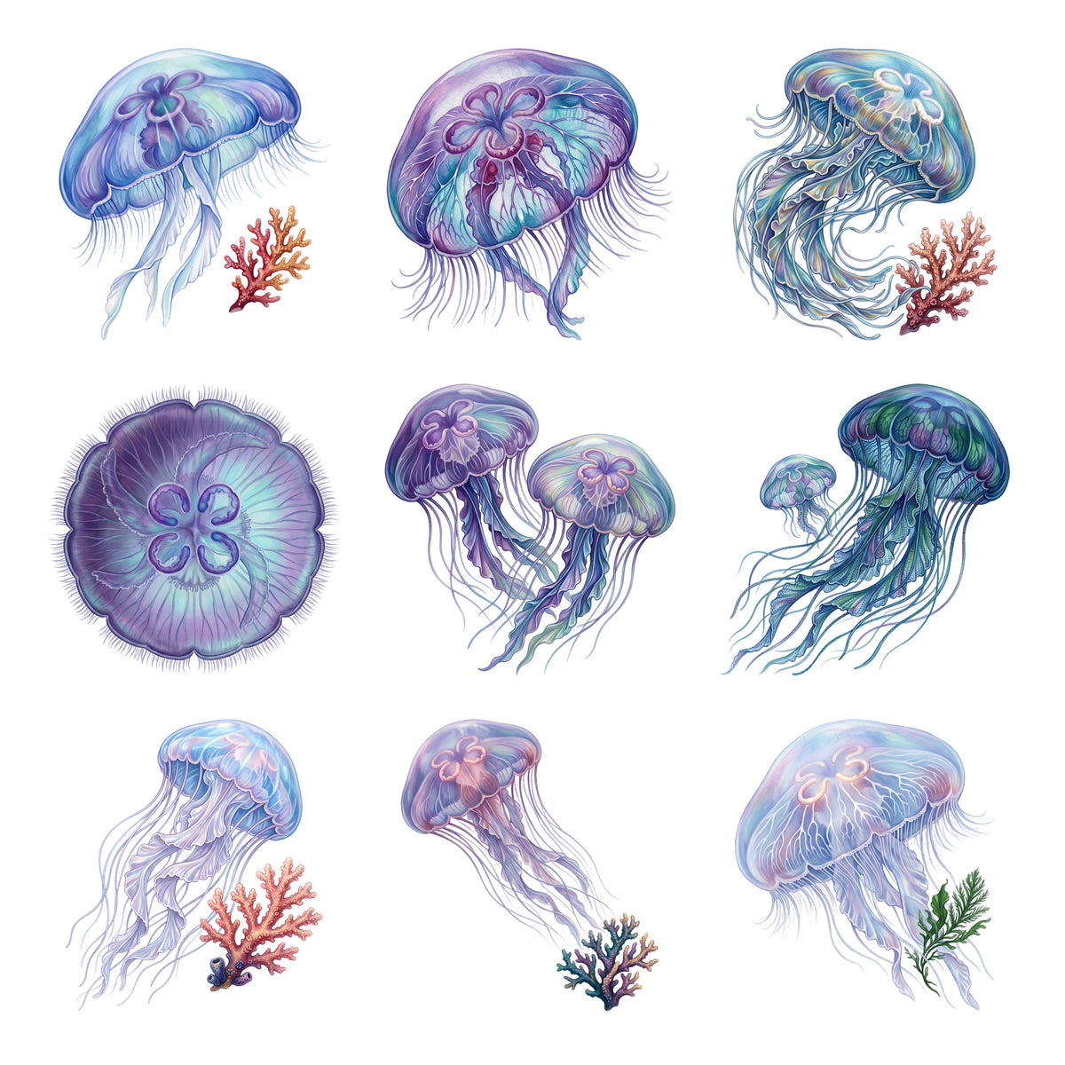 Jellyfish Ballet — Complete assortment