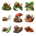 Garden Snails — Complete assortment