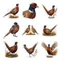 Pheasant Field Colors — Complete assortment