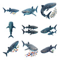 Whale Shark Encounters — Complete assortment