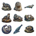 Harbor Seal Rocks — Complete assortment