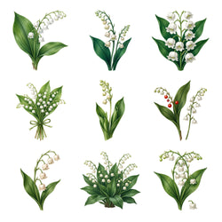 Lily of the Valley — Complete assortment