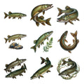 Muskellunge Legends — Complete assortment