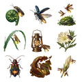 Fireflies and Lantern Light — Complete assortment