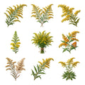 Goldenrod Sprays — Complete assortment