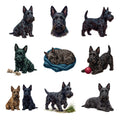 Scottish Terriers — Complete assortment
