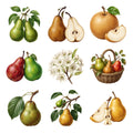 Pear Varieties — Complete assortment