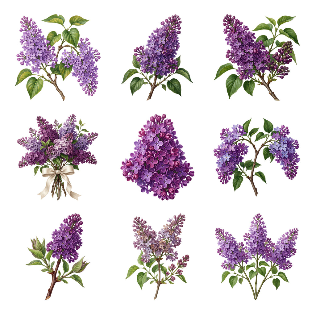 Lilac Branches — Complete assortment