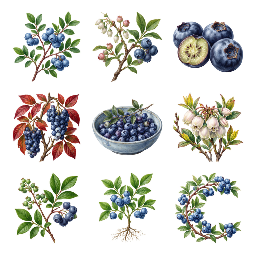 Blueberry Branches — Complete assortment