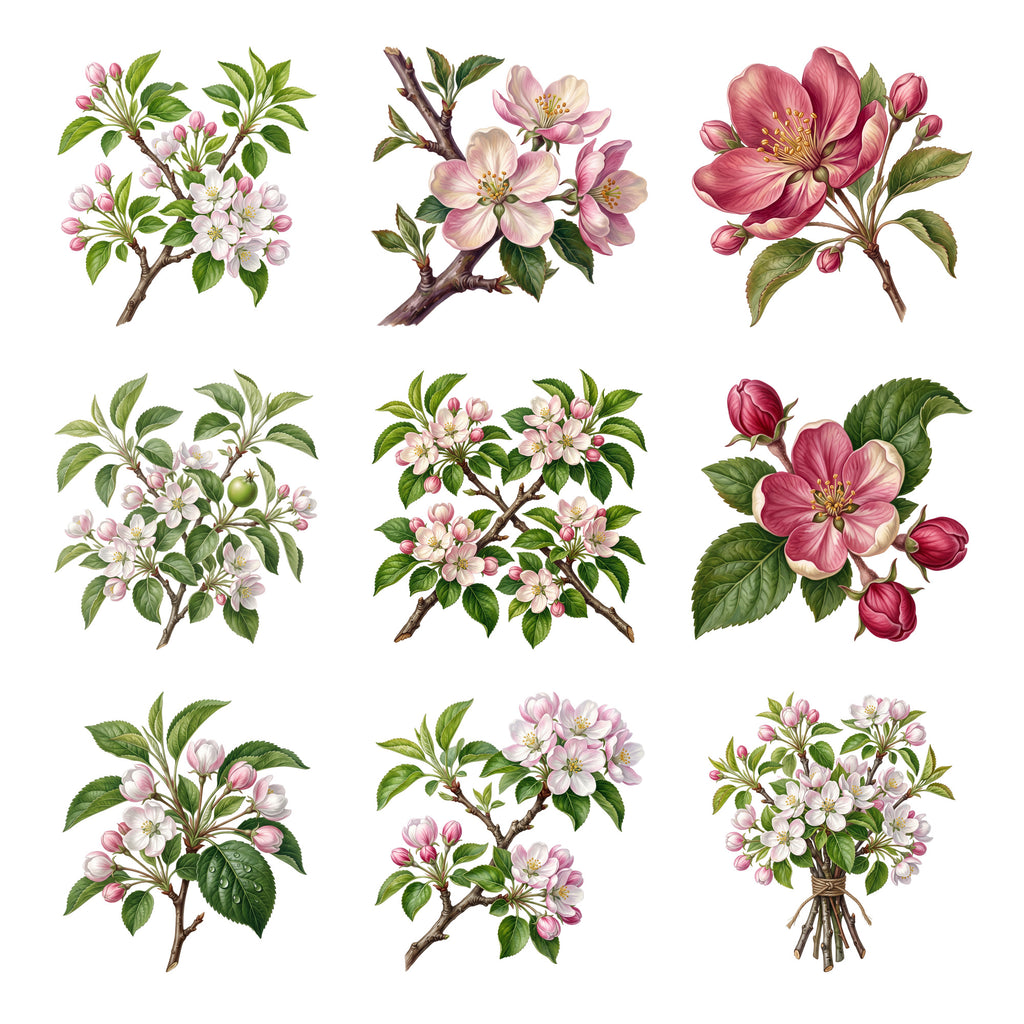 Apple Blossom Sprays — Complete assortment