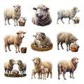 Merino Sheep — Complete assortment