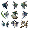 Angelfish Aquarium — Complete assortment