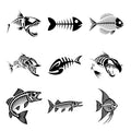 Bonefish — Complete assortment