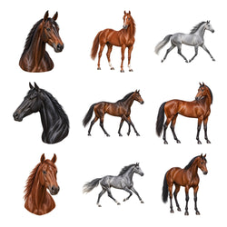 Thoroughbreds — Complete assortment