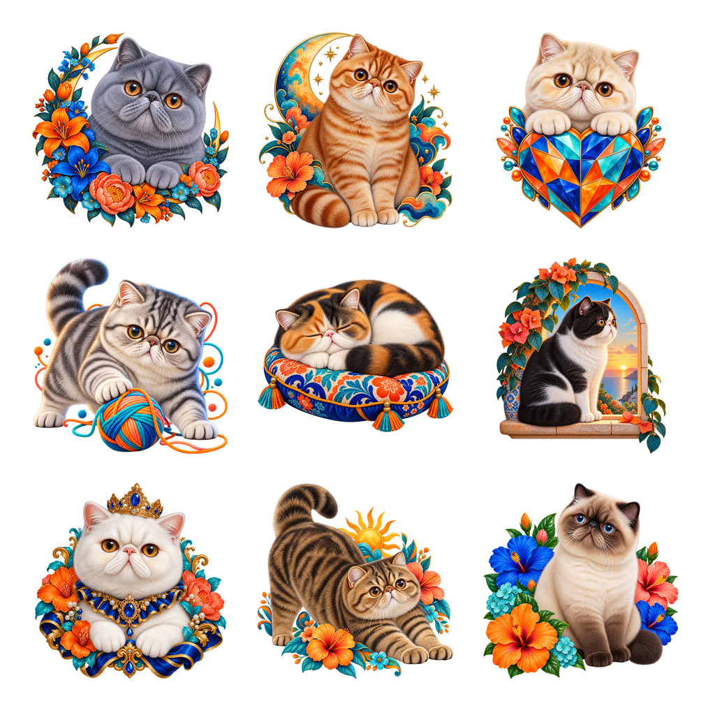 Exotic — Complete assortment