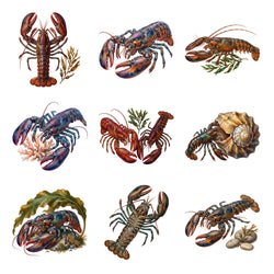 Lobster Rocky Coast — Complete assortment