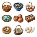 Egg Basket Collection — Complete assortment