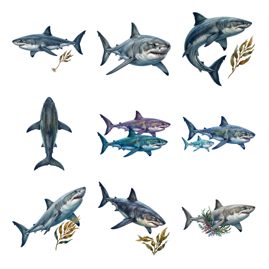 Great White Sharks — Complete assortment