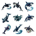 Orca Ocean Family — Complete assortment