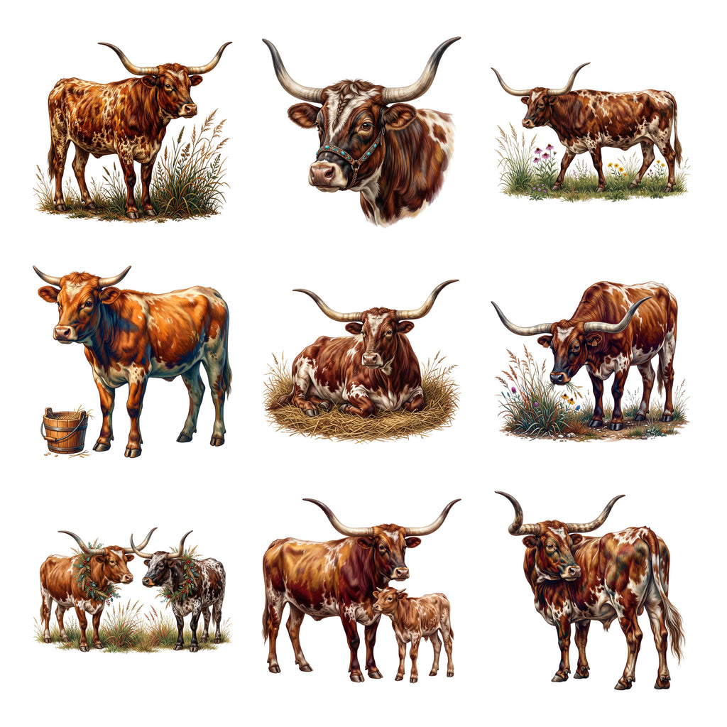 Texas Longhorn Cattle — Complete assortment