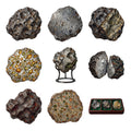 Meteorite Specimen Cabinet — Complete assortment