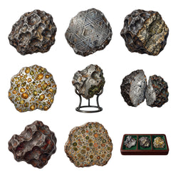 Meteorite Specimen Cabinet — Complete assortment