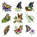 Swallowtail Butterflies — Complete assortment