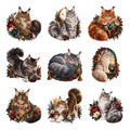 Maine Coon — Complete assortment