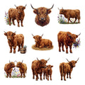 Highland Cattle — Complete assortment