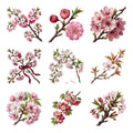 Cherry Blossom Boughs — Complete assortment