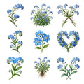 Forget Me Nots — Complete assortment