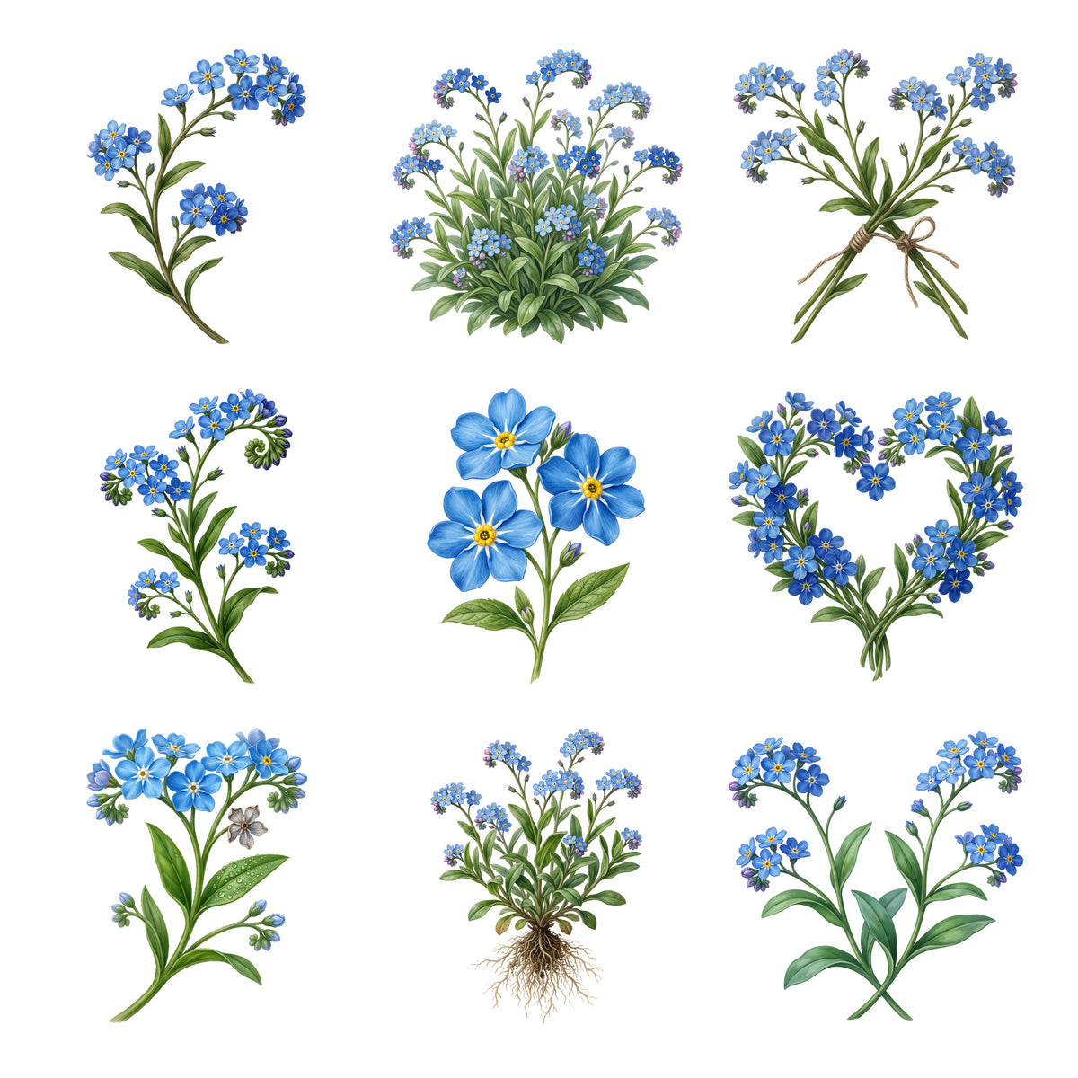 Forget Me Nots — Complete assortment