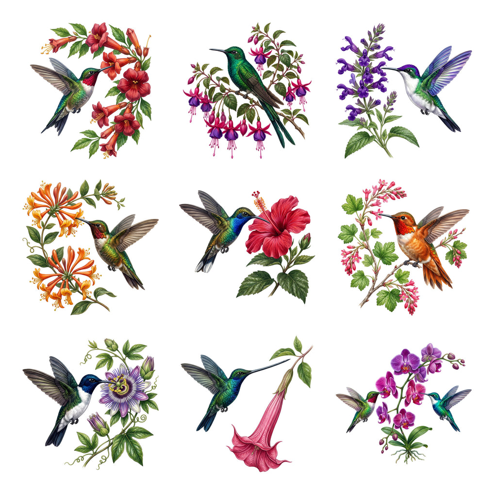 Hummingbirds and Flowers — Complete assortment
