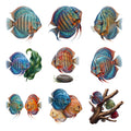 Discus Aquarium Jewels — Complete assortment