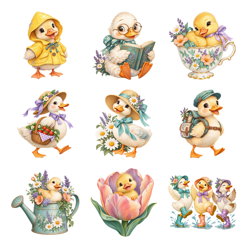 Duck Lovers - Whimsical Waterfowl — Complete assortment