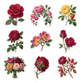 Garden Roses — Complete assortment