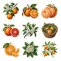 Orange Grove Botanicals — Complete assortment