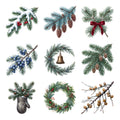 Frosted Evergreen Boughs — Complete assortment
