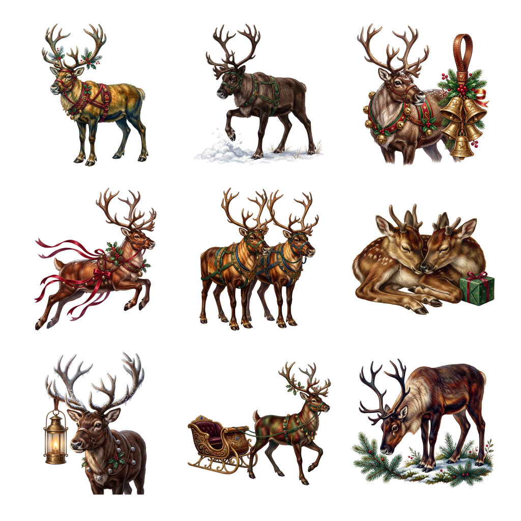 Reindeer Sleigh Team — Complete assortment