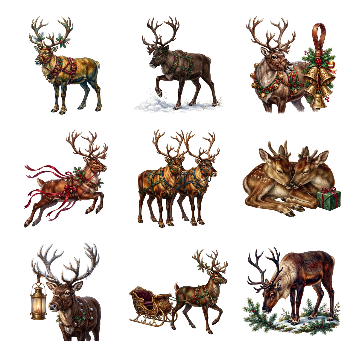 Reindeer Sleigh Team — Complete assortment